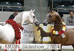 _13usn_slideshow_27034 proof