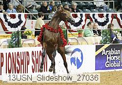 _13usn_slideshow_27036 proof