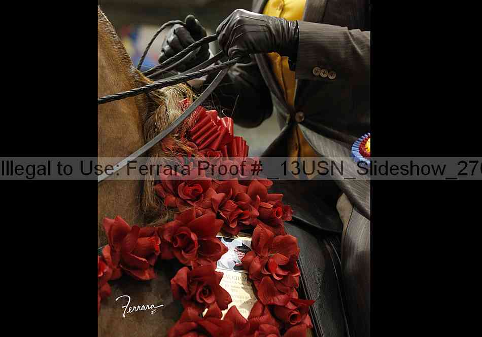 Proof _13usn_slideshow_27046