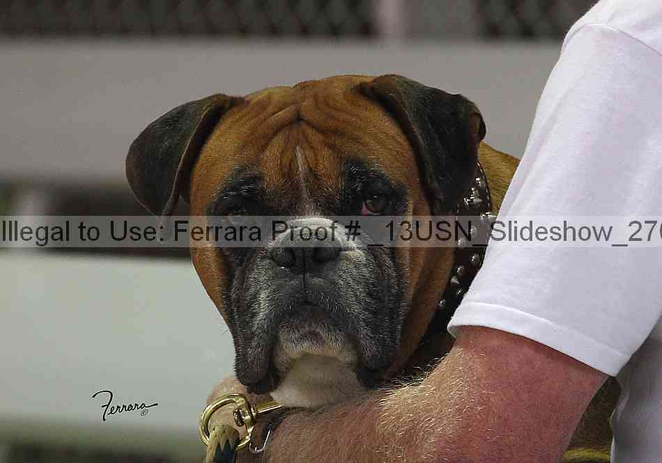 Proof _13usn_slideshow_27052