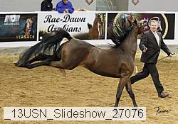 _13usn_slideshow_27076 proof