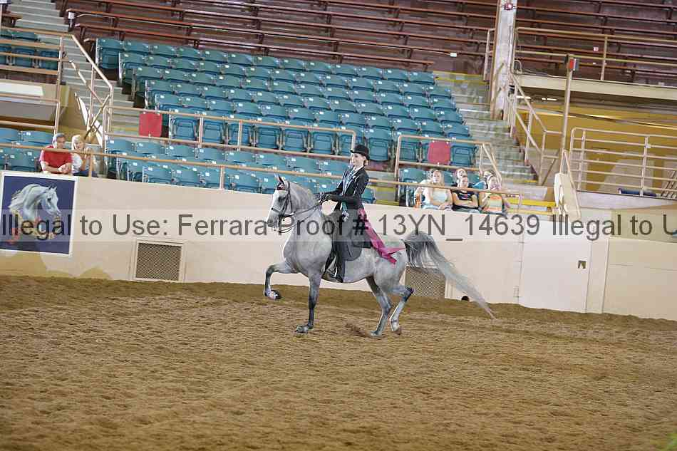 Proof 13yn_14639