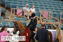 13yn_14661 proof