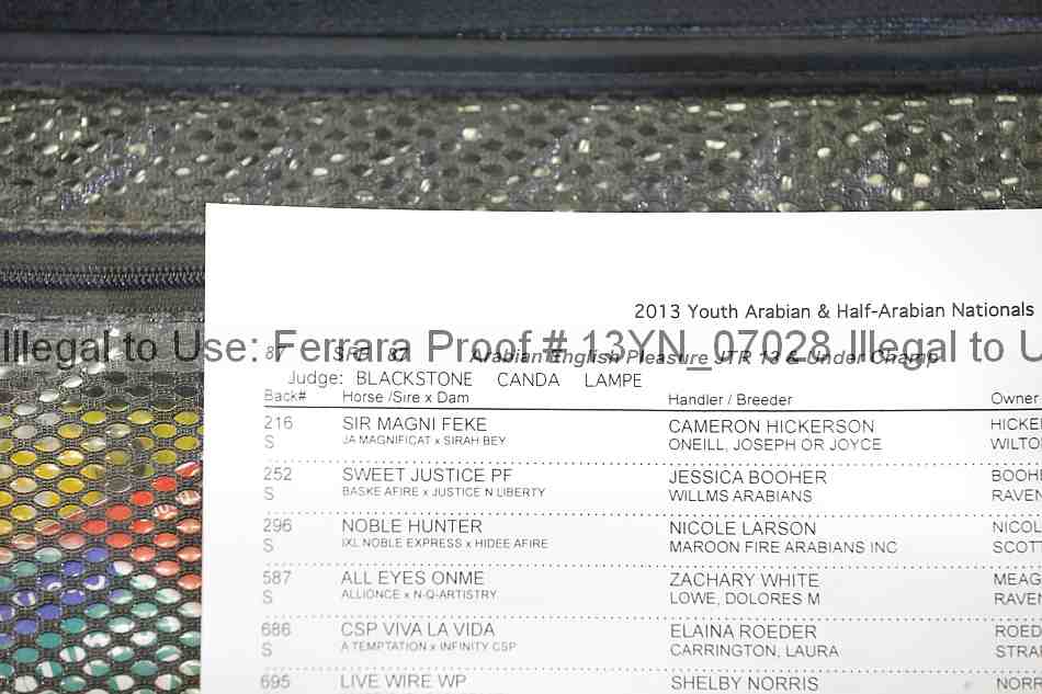 Proof 13yn_07028