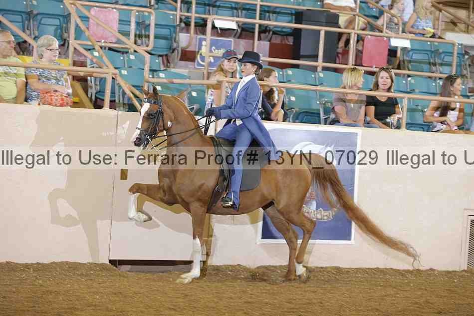 Proof 13yn_07029