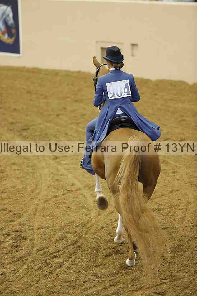 Proof 13yn_07030