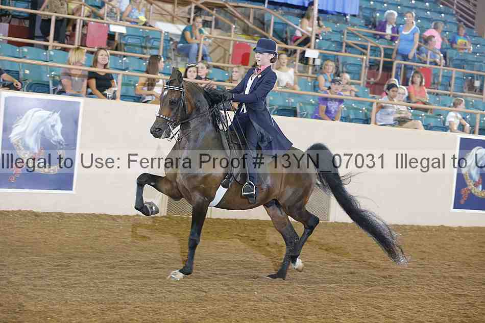 Proof 13yn_07031