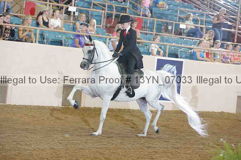 Proof 13yn_07033