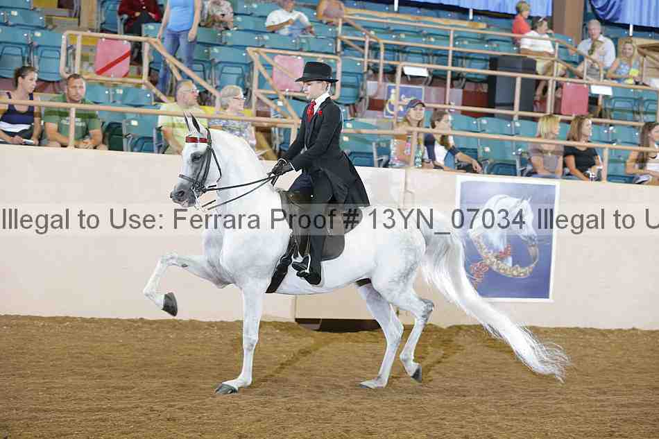 Proof 13yn_07034