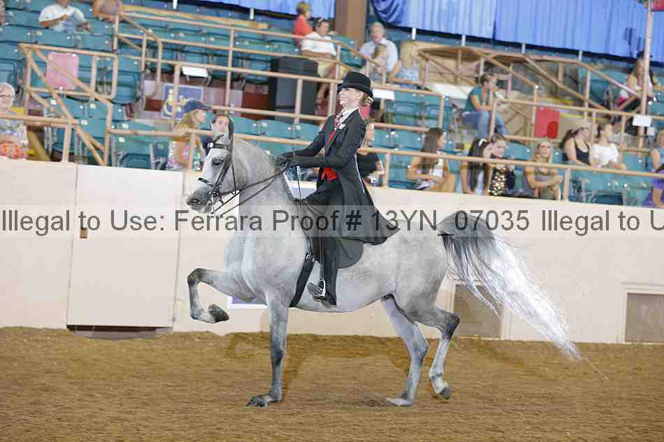 Proof 13yn_07035