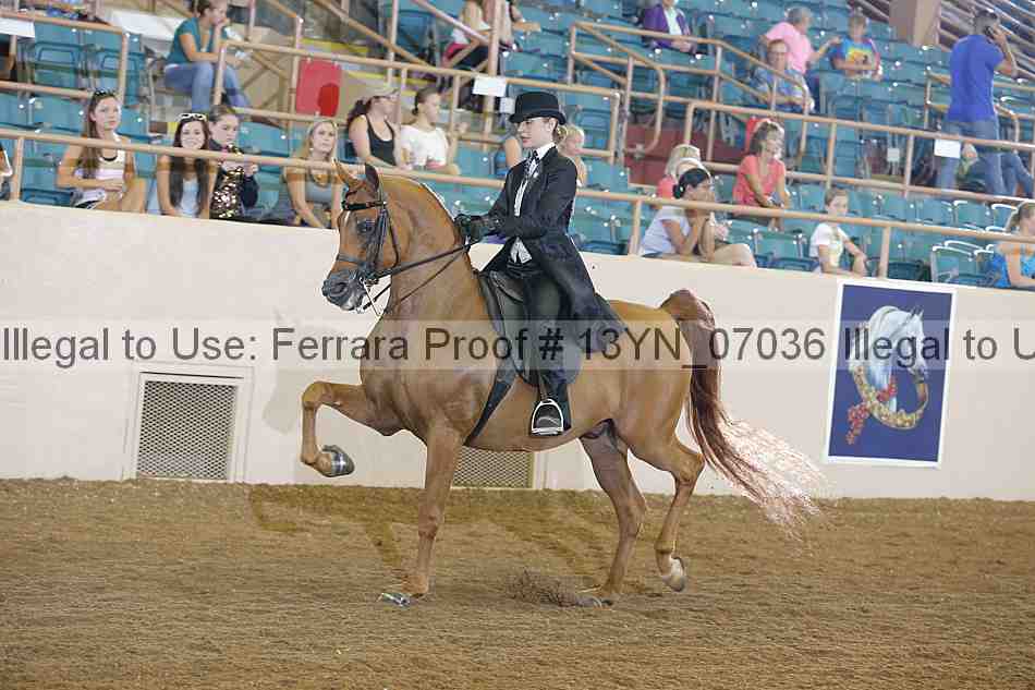 Proof 13yn_07036