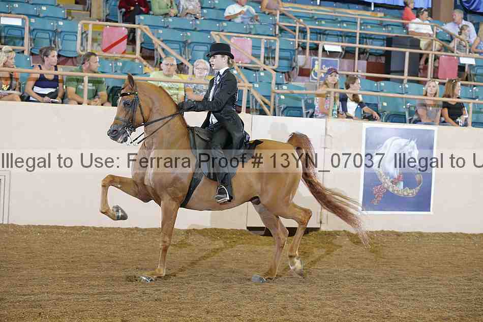 Proof 13yn_07037