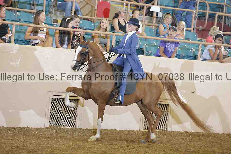 Proof 13yn_07038