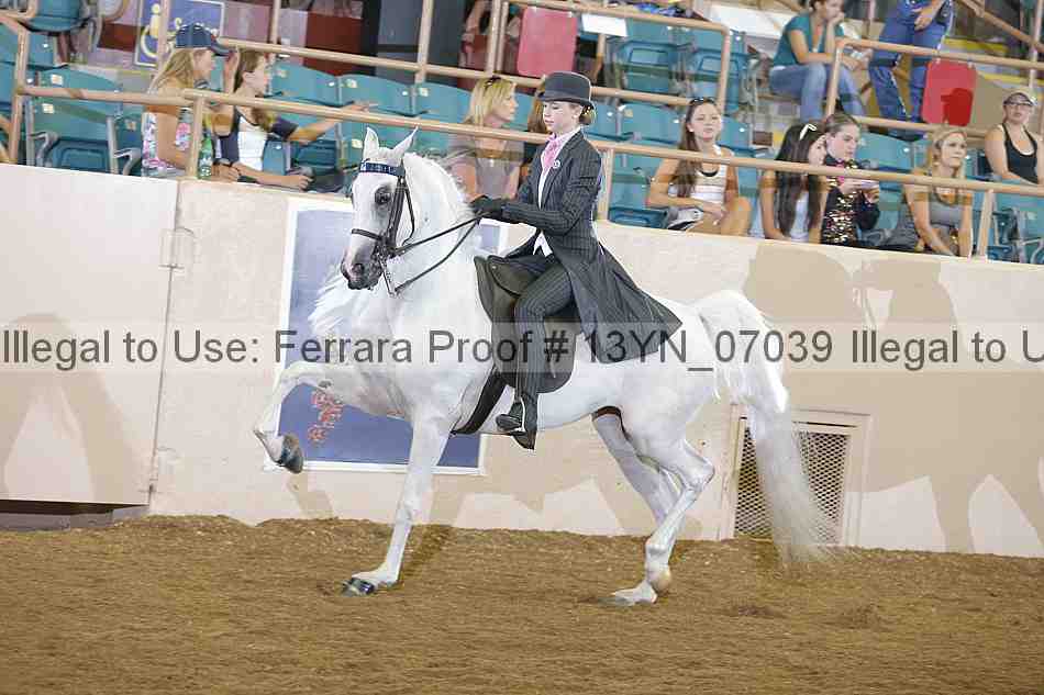 Proof 13yn_07039
