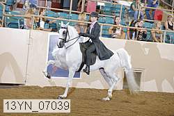 13yn_07039 proof