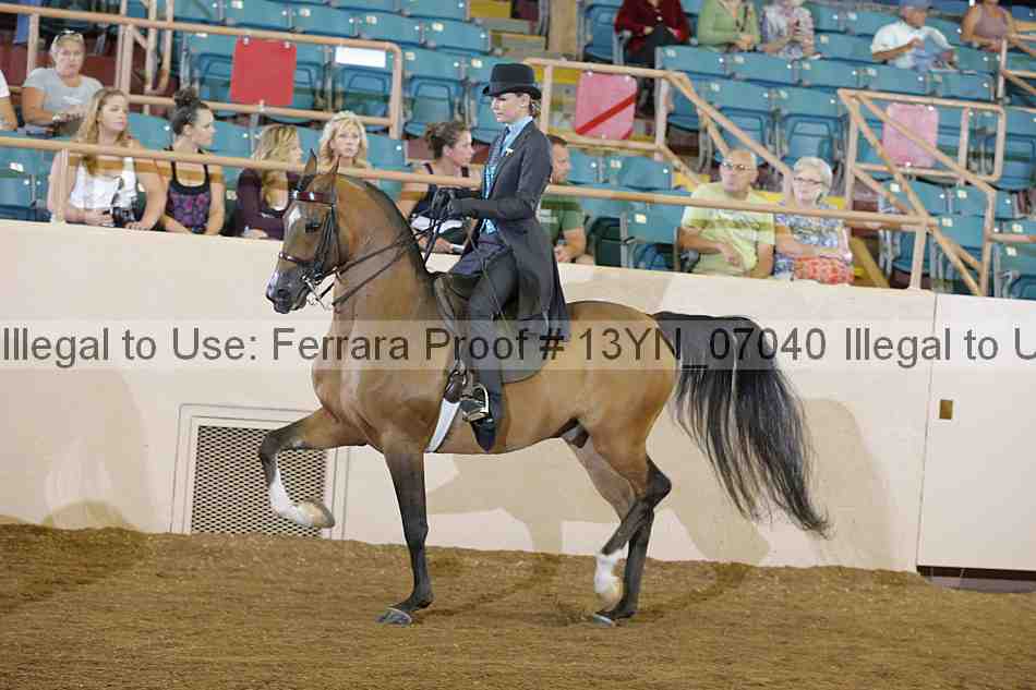 Proof 13yn_07040