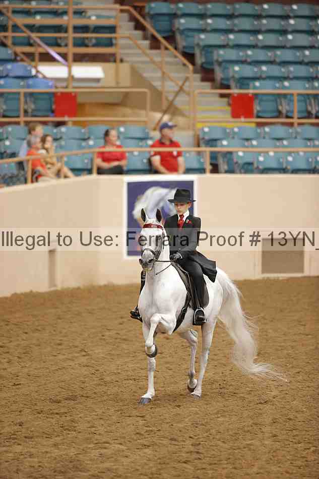 Proof 13yn_07041