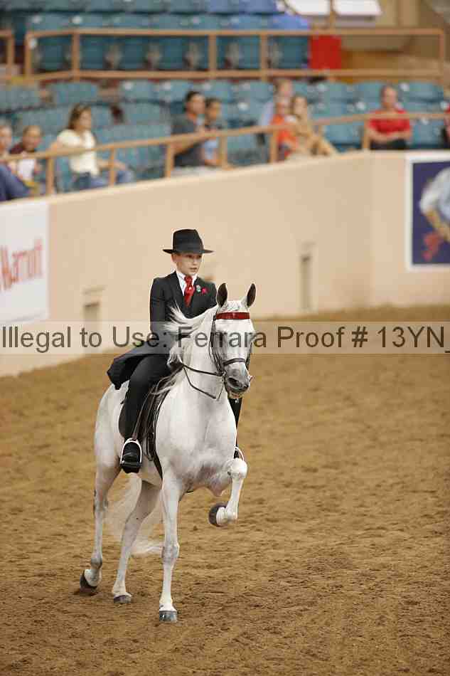 Proof 13yn_07043