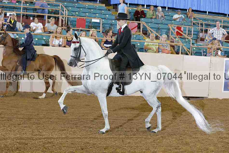 Proof 13yn_07044