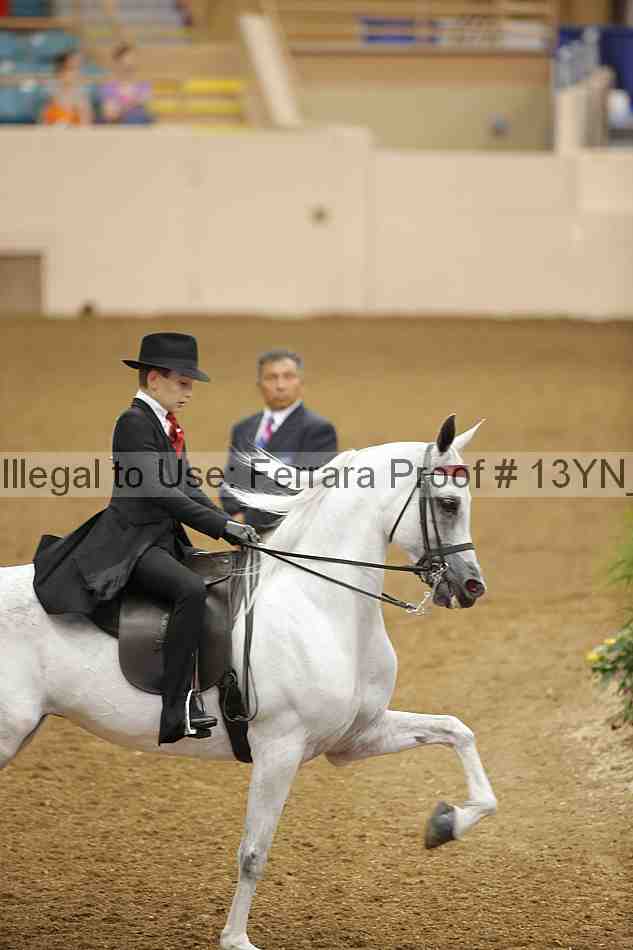 Proof 13yn_07045