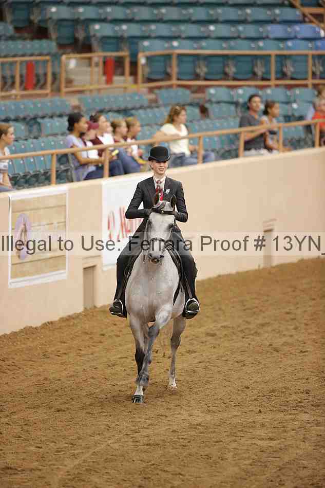 Proof 13yn_07046