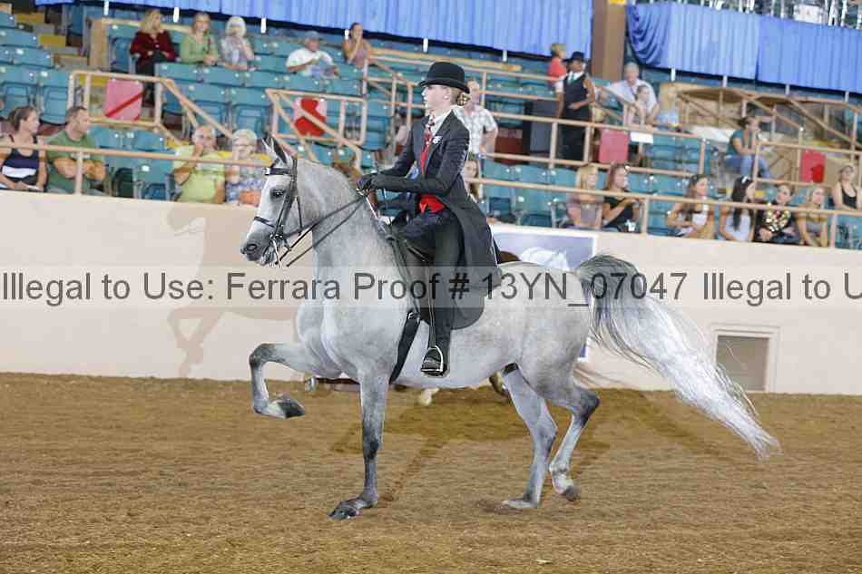 Proof 13yn_07047