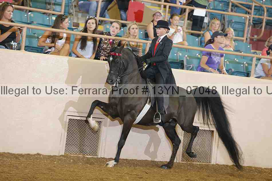 Proof 13yn_07048