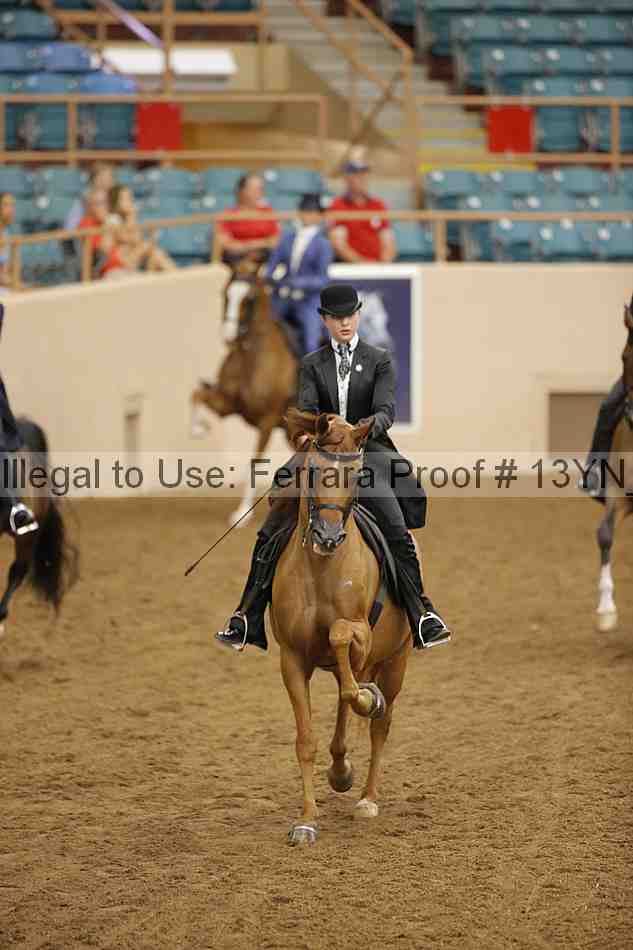 Proof 13yn_07049