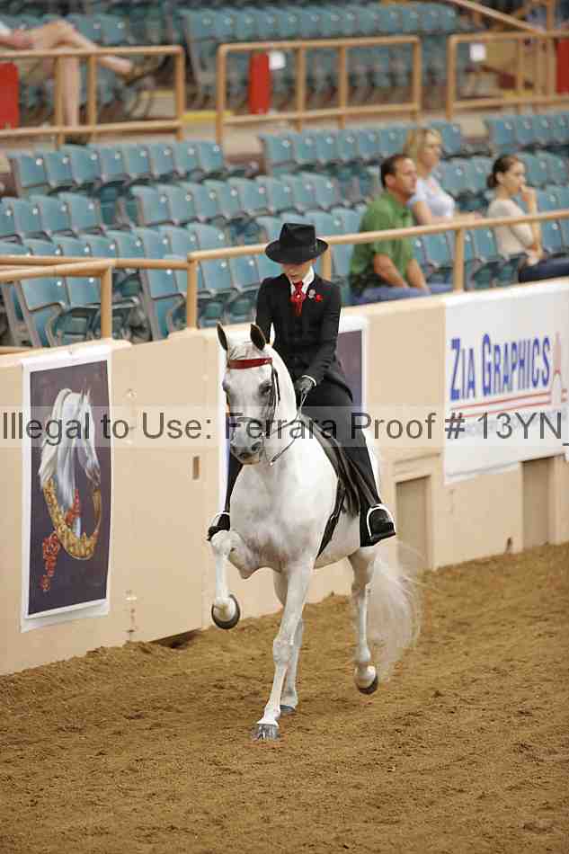 Proof 13yn_07052