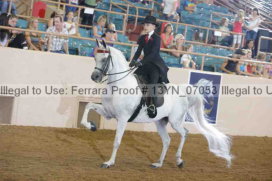Proof 13yn_07053