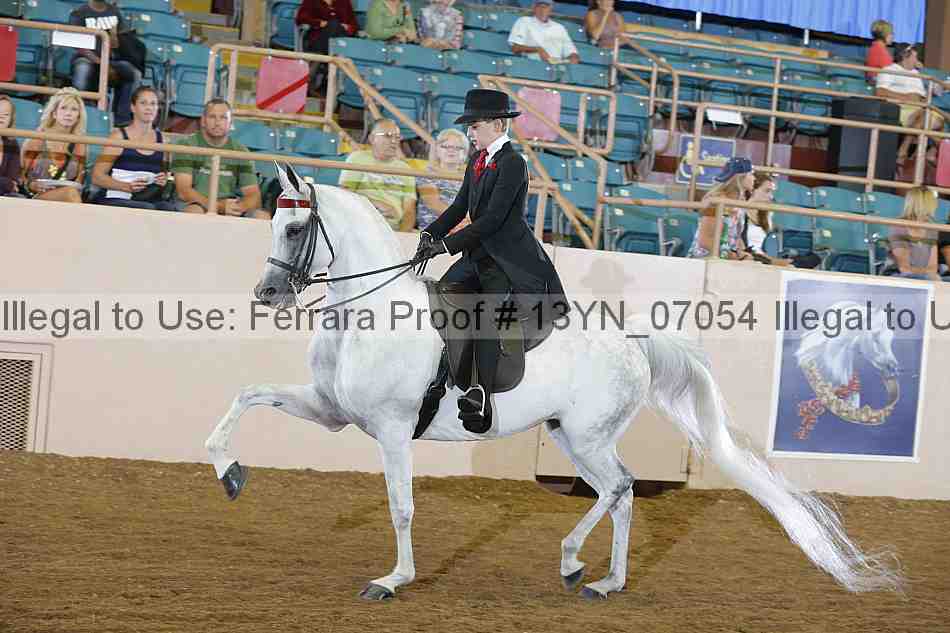 Proof 13yn_07054
