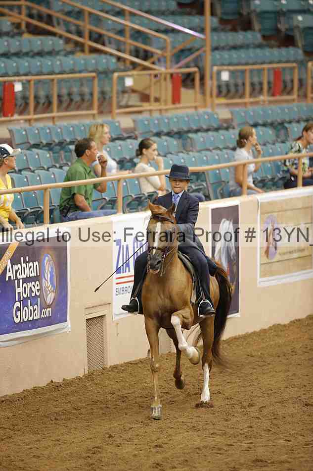 Proof 13yn_07055