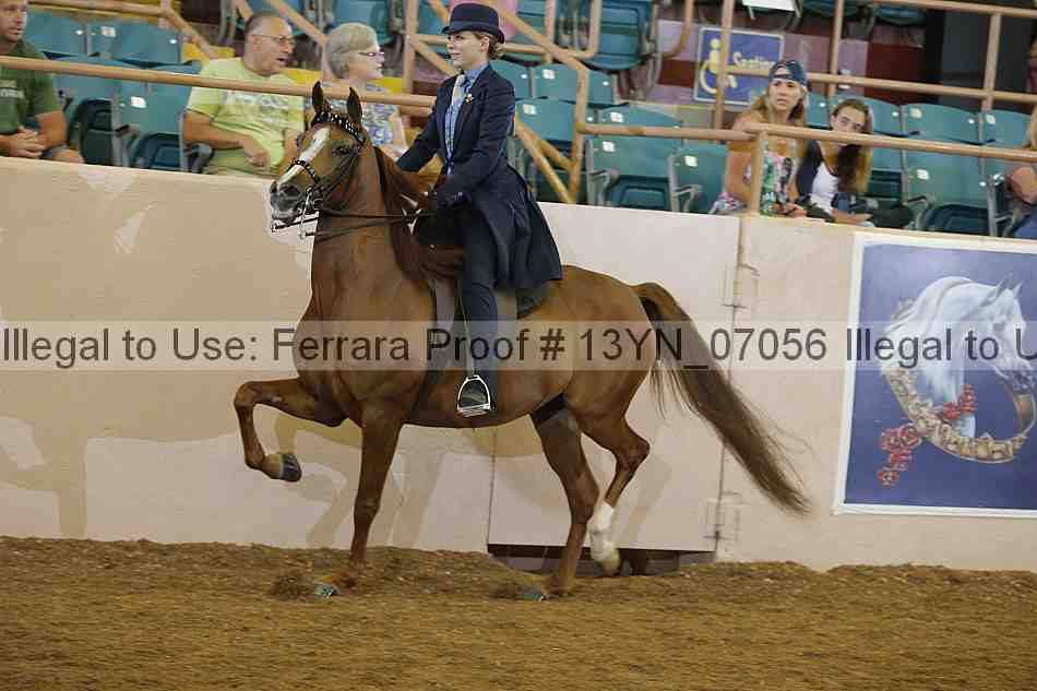 Proof 13yn_07056