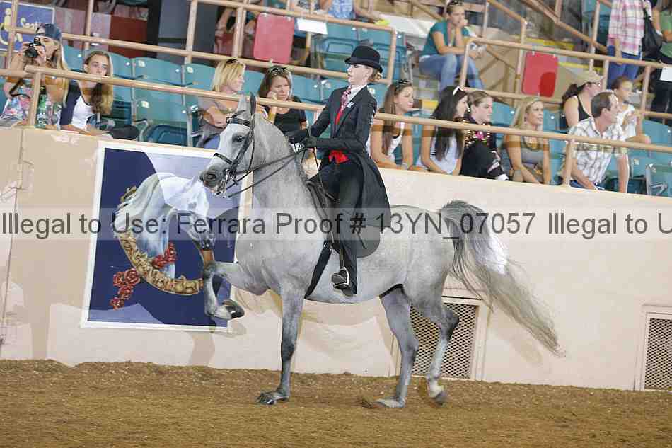Proof 13yn_07057