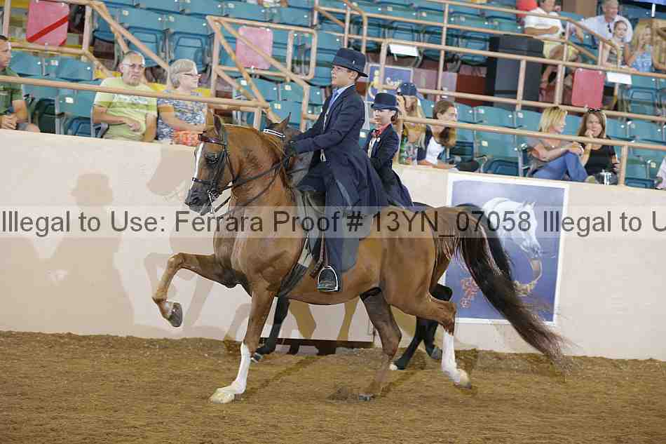 Proof 13yn_07058