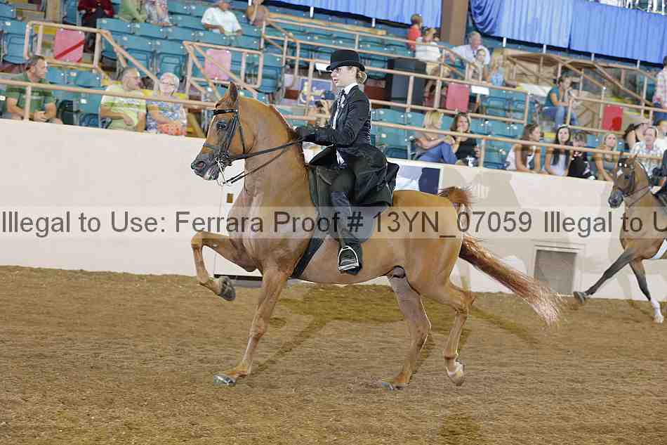 Proof 13yn_07059