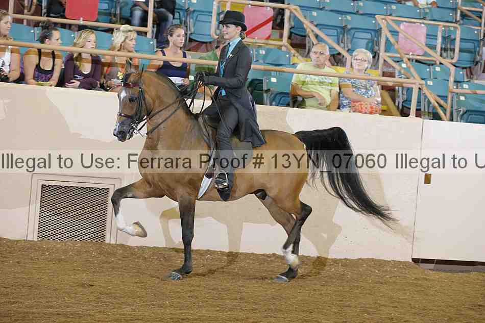 Proof 13yn_07060