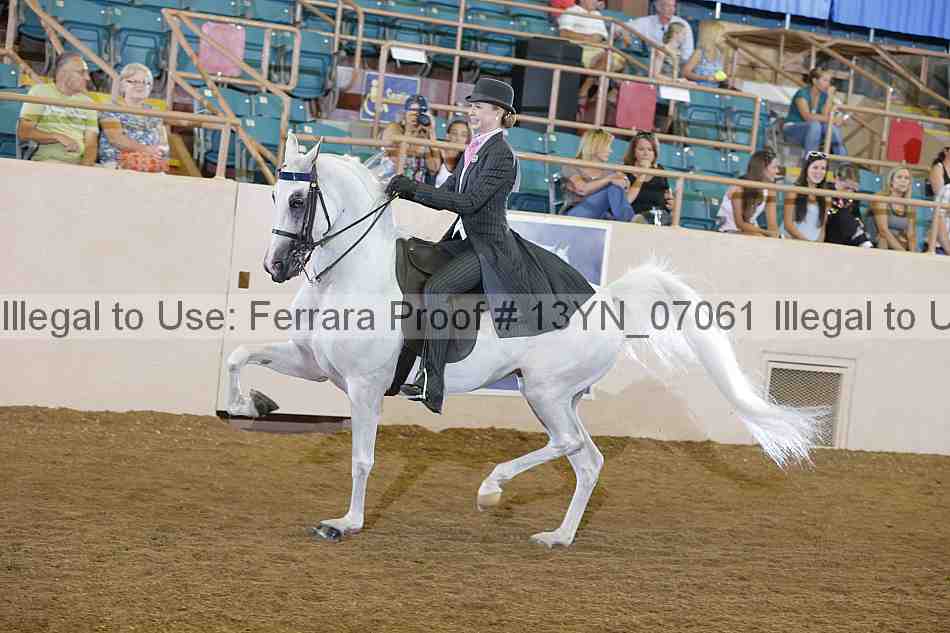 Proof 13yn_07061