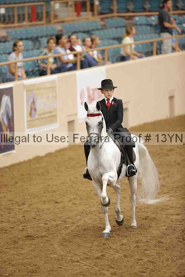 Proof 13yn_07063
