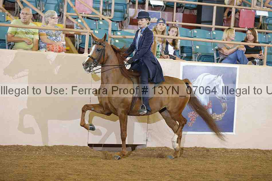 Proof 13yn_07064