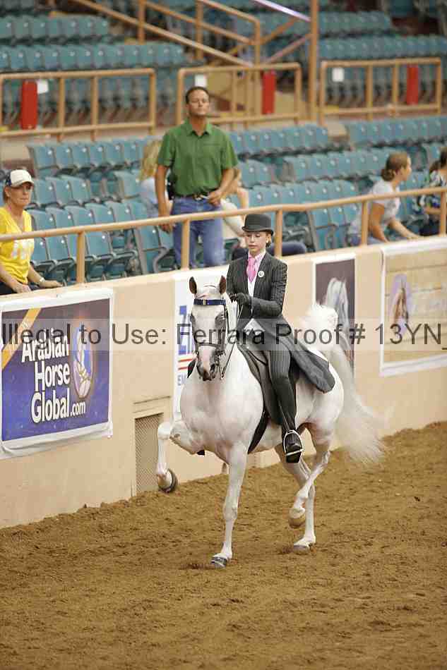 Proof 13yn_07065