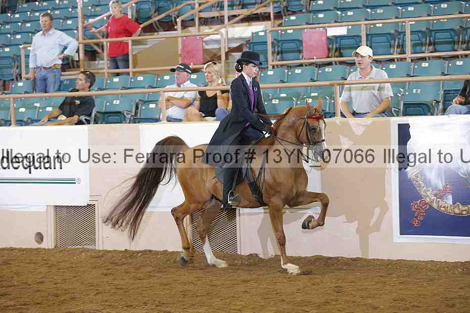 Proof 13yn_07066