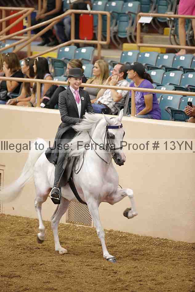 Proof 13yn_07067