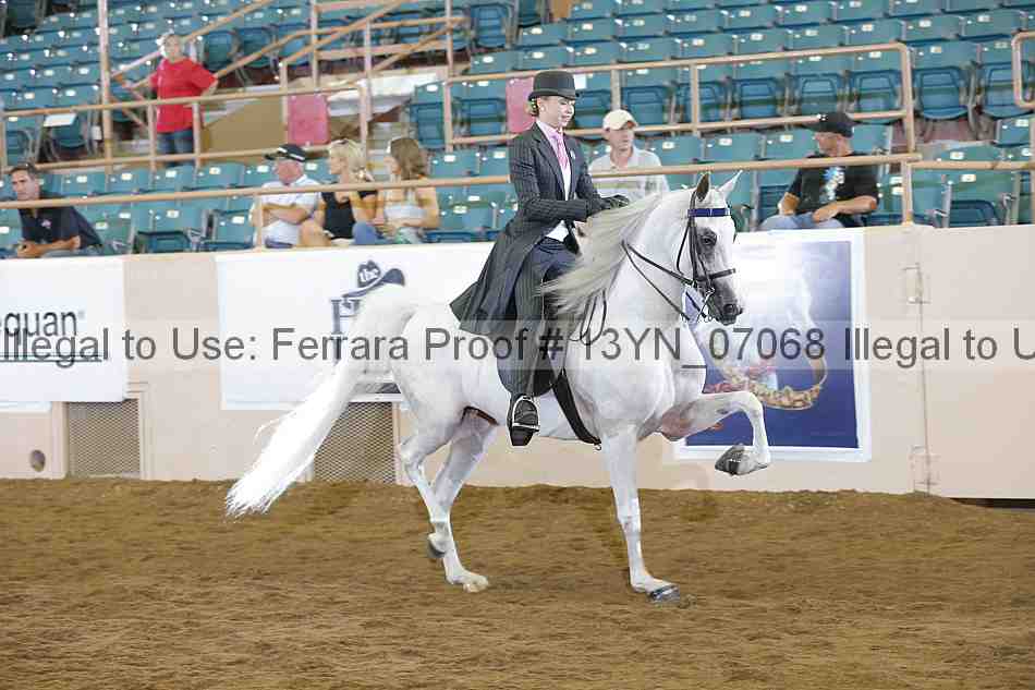 Proof 13yn_07068