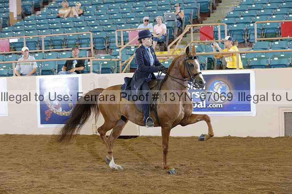 Proof 13yn_07069