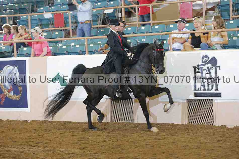 Proof 13yn_07070