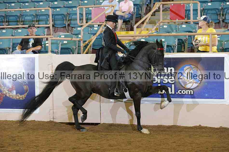 Proof 13yn_07072