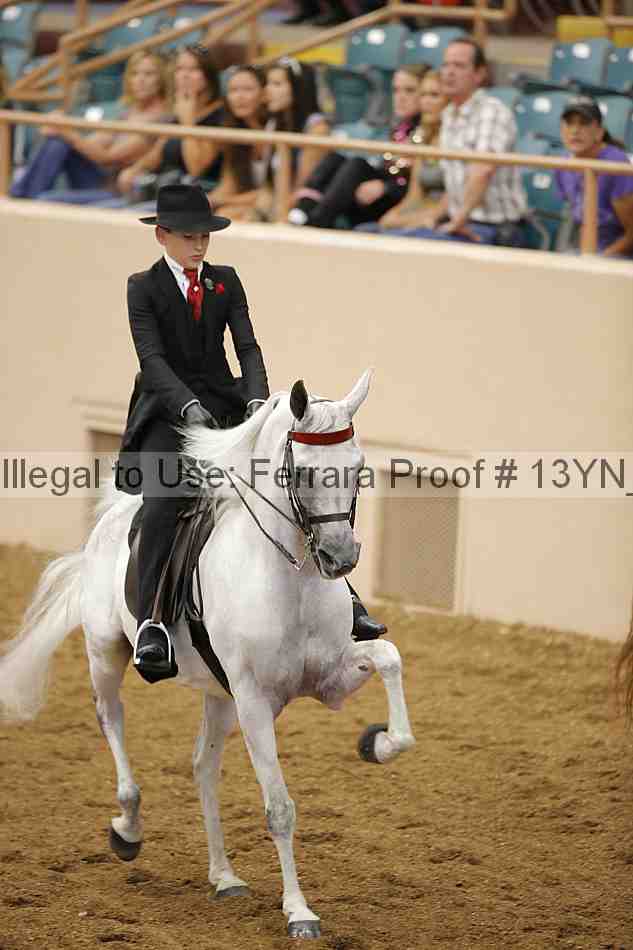 Proof 13yn_07073