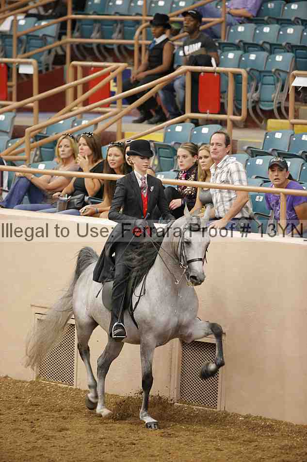 Proof 13yn_07074