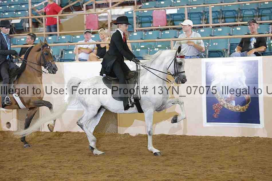 Proof 13yn_07075